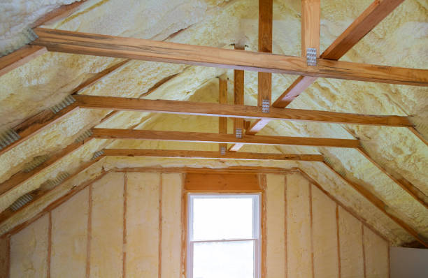 Best Best Insulation Companies  in Roselle, NJ